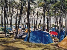 Carte postale 10x15cm postcard